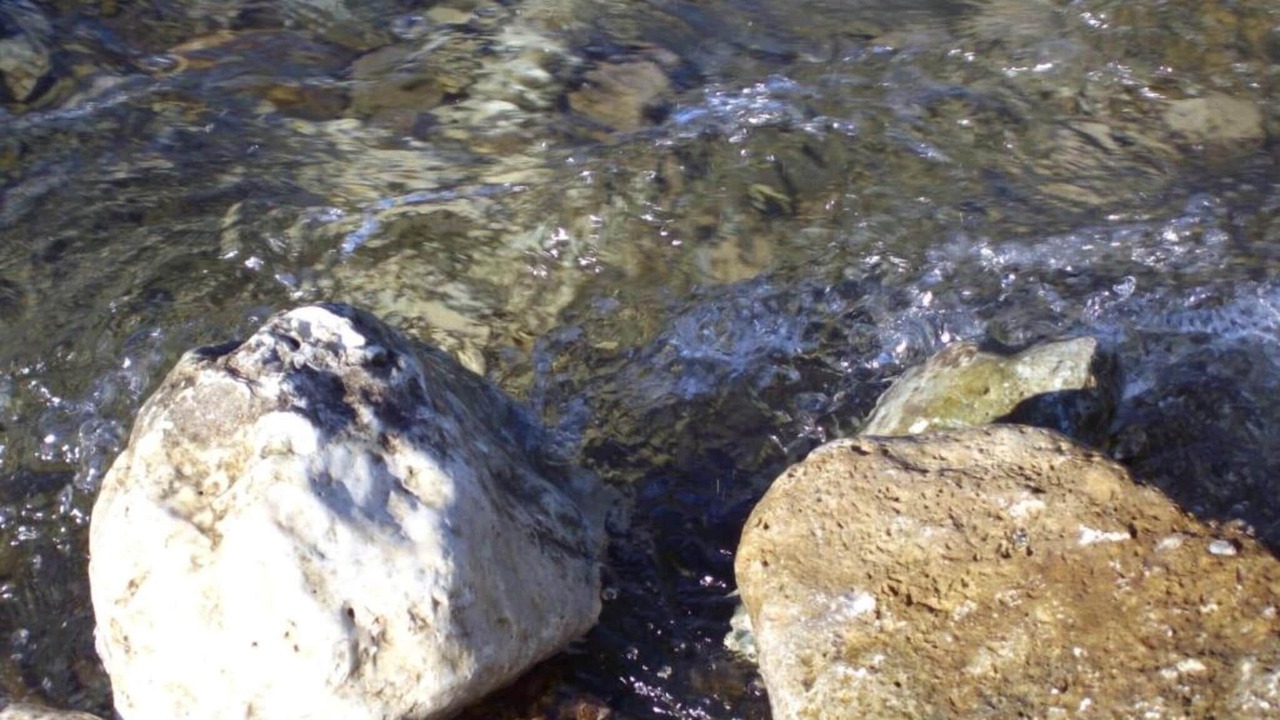 Photo of Others in Barjac