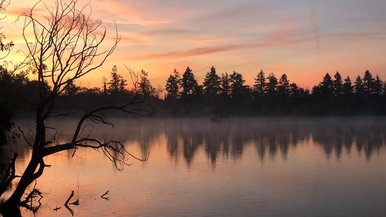 Photo of Outdoor in Coutras