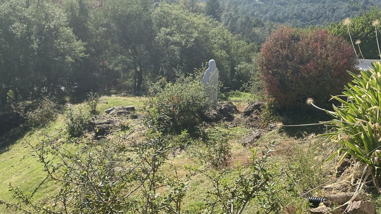 Photo of Outdoor in Shingle Springs