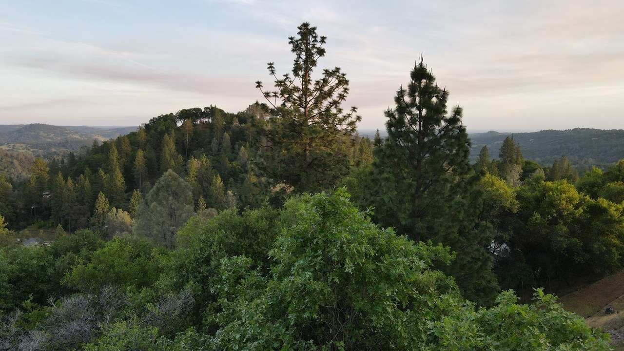 Photo of Outdoor in Shingle Springs