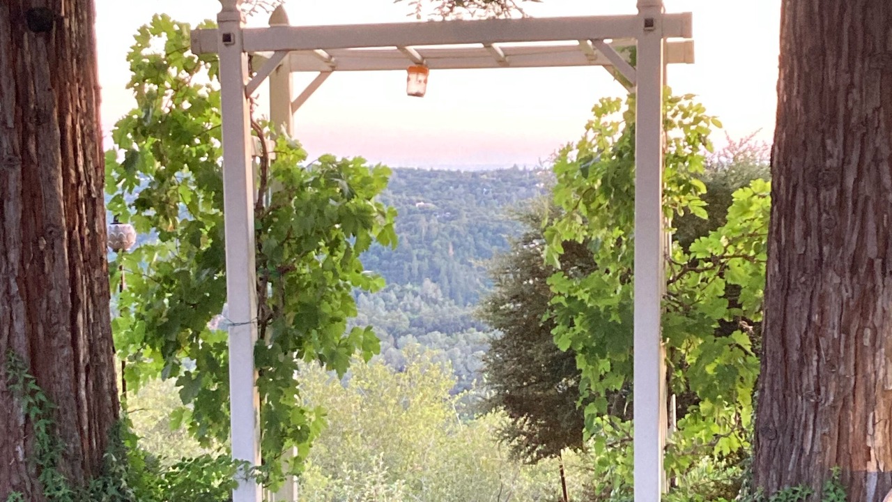 Photo of Outdoor in Shingle Springs