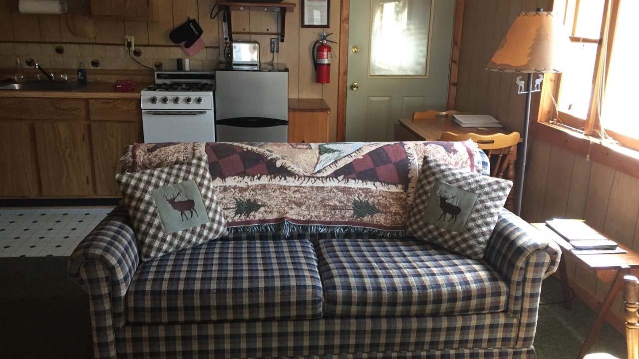 Photo of Livingroom in Long Lake