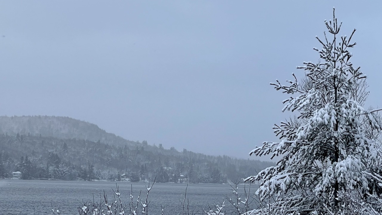 Photo of Others in Long Lake