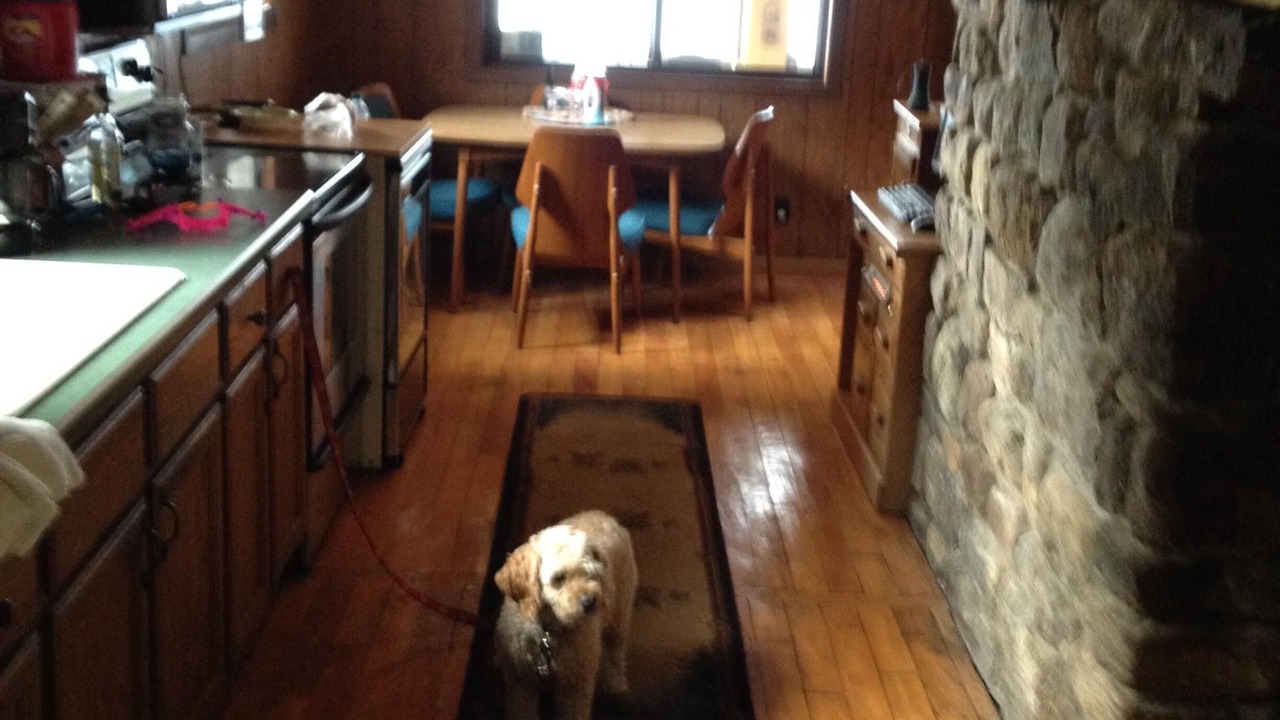 Photo of Others in Long Lake