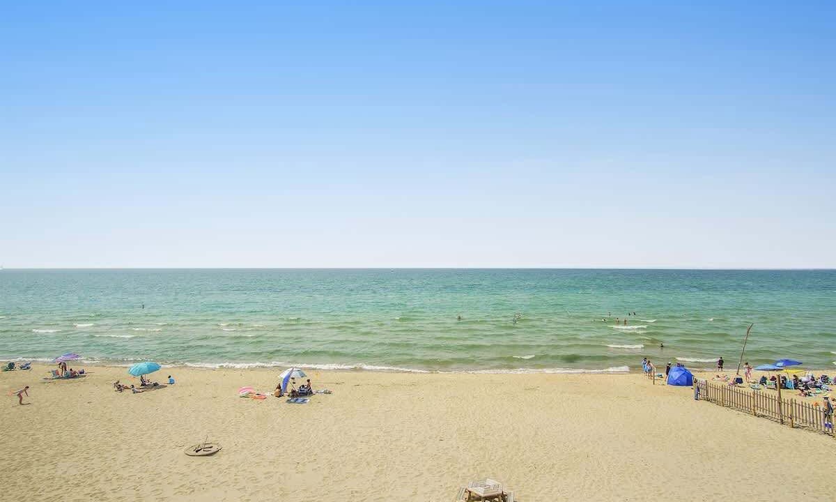 Photo of Others in South Haven