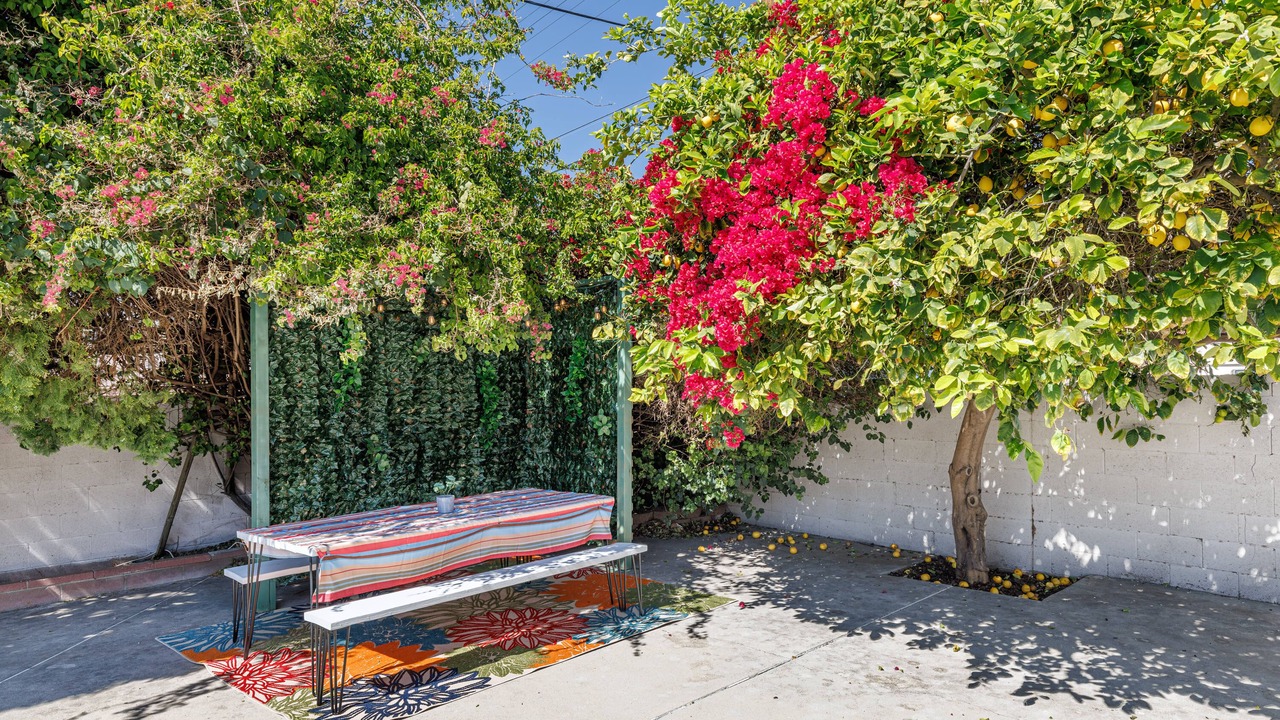 Photo of Outdoor in Winnetka