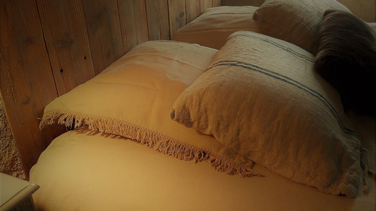 Photo of Bedroom in Laussou