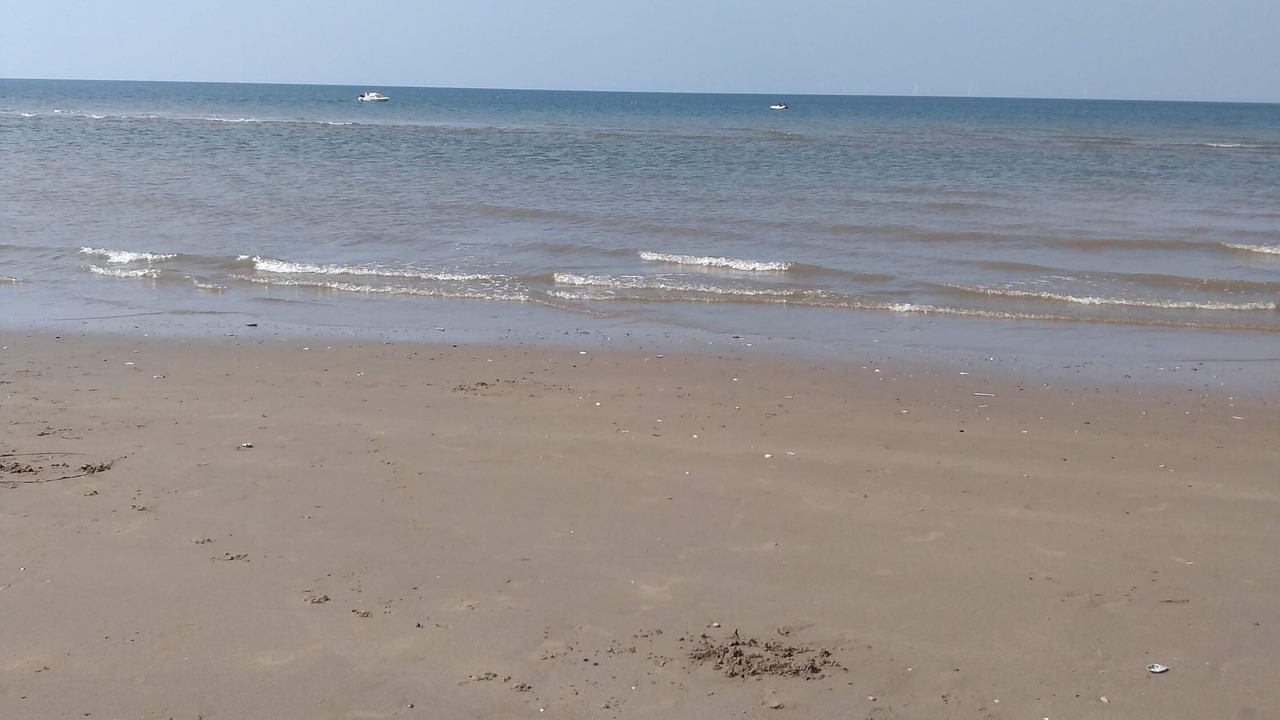 Photo of Others in St George