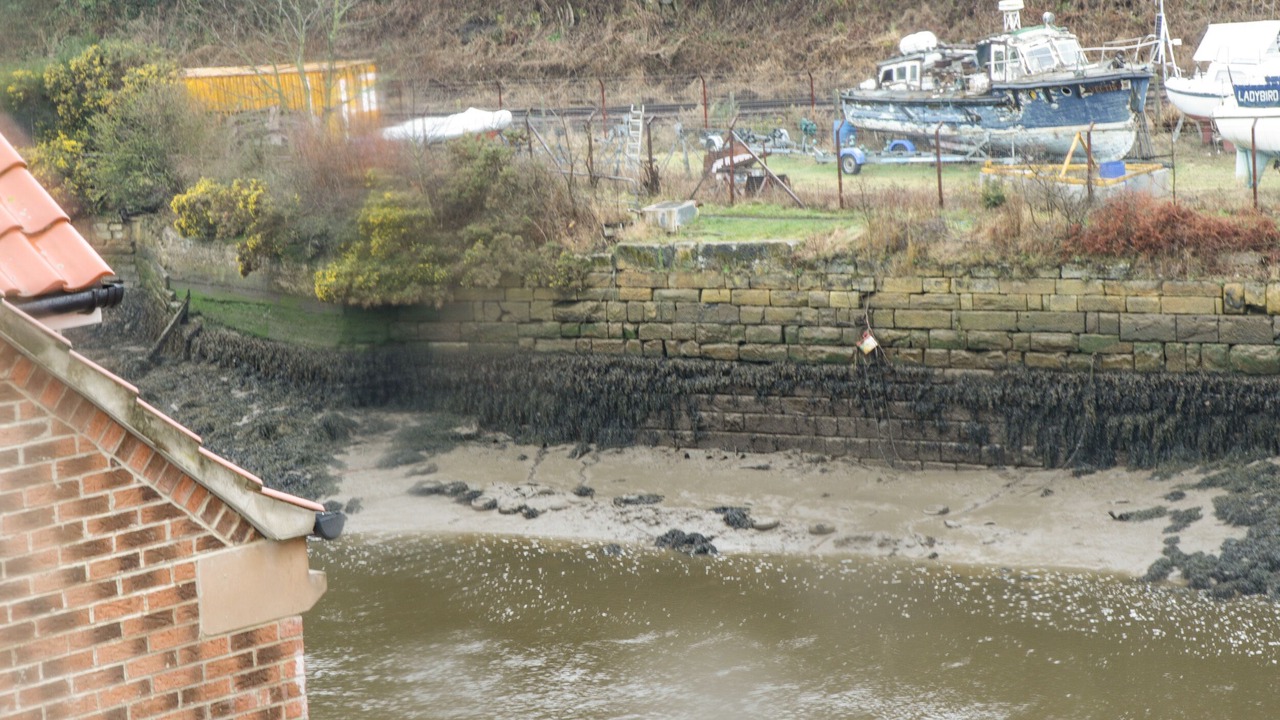 Photo of Others in Whitby