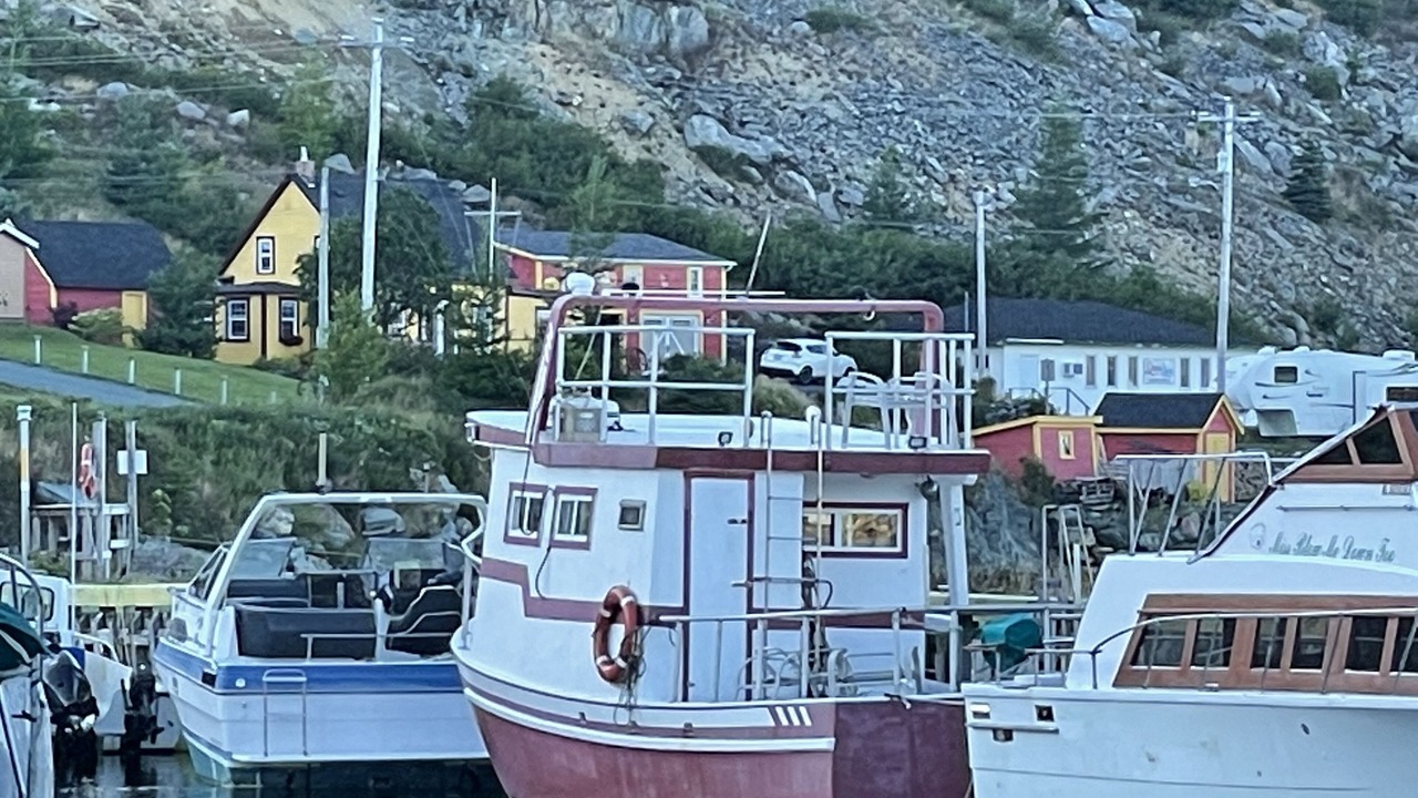 Photo of Others in Harbour Main