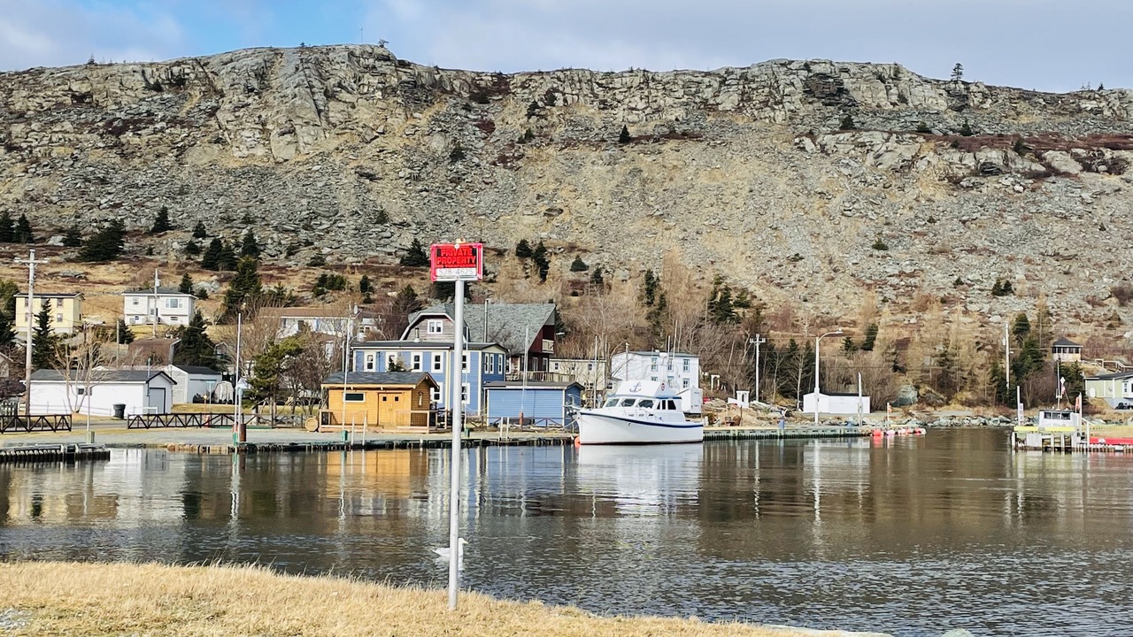 Photo of Others in Harbour Main