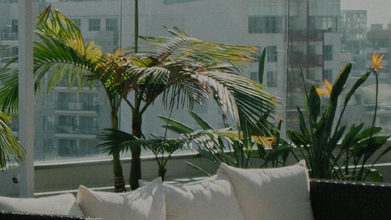 Photo of Outdoor in River North