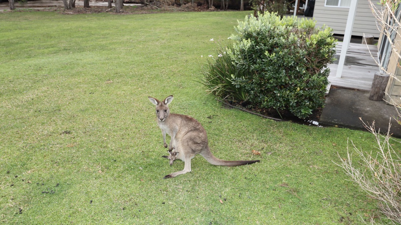 Photo of Outdoor in Berrara