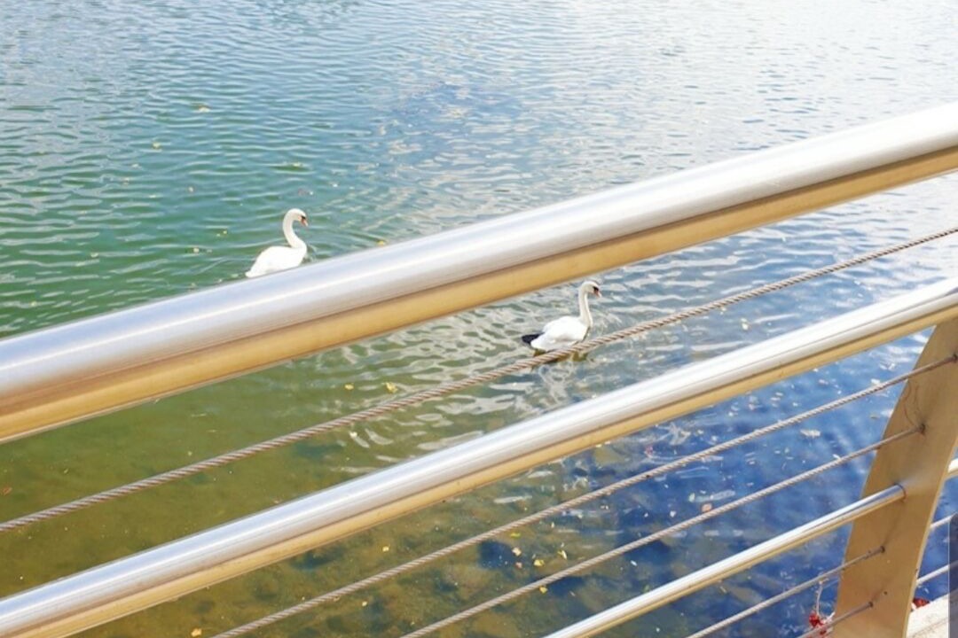 Photo of Outdoor in Juvisy-sur-Orge