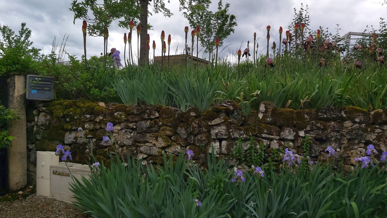 Photo of Outdoor in Le Bourg