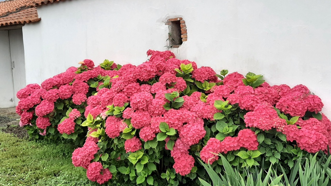 Photo of Outdoor in Bouin