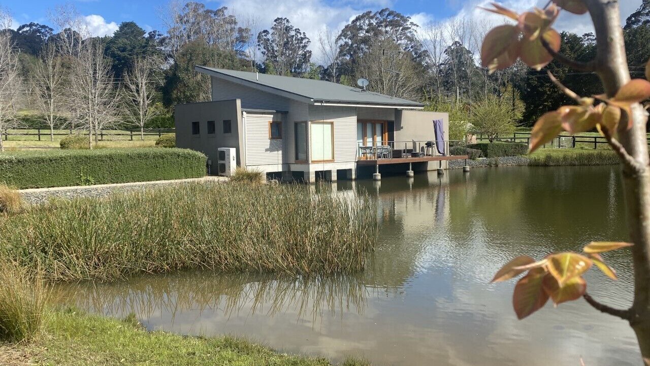 Photo of Outdoor in Alpine