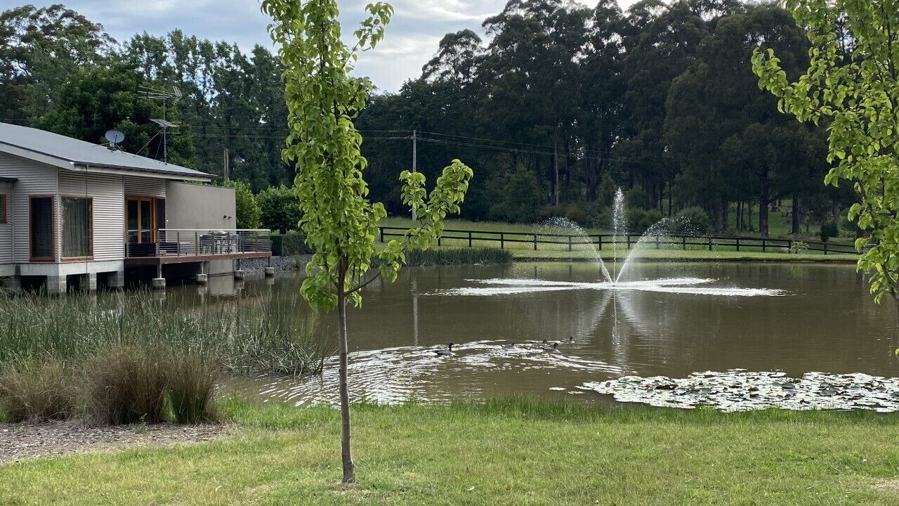 Photo of Outdoor in Alpine