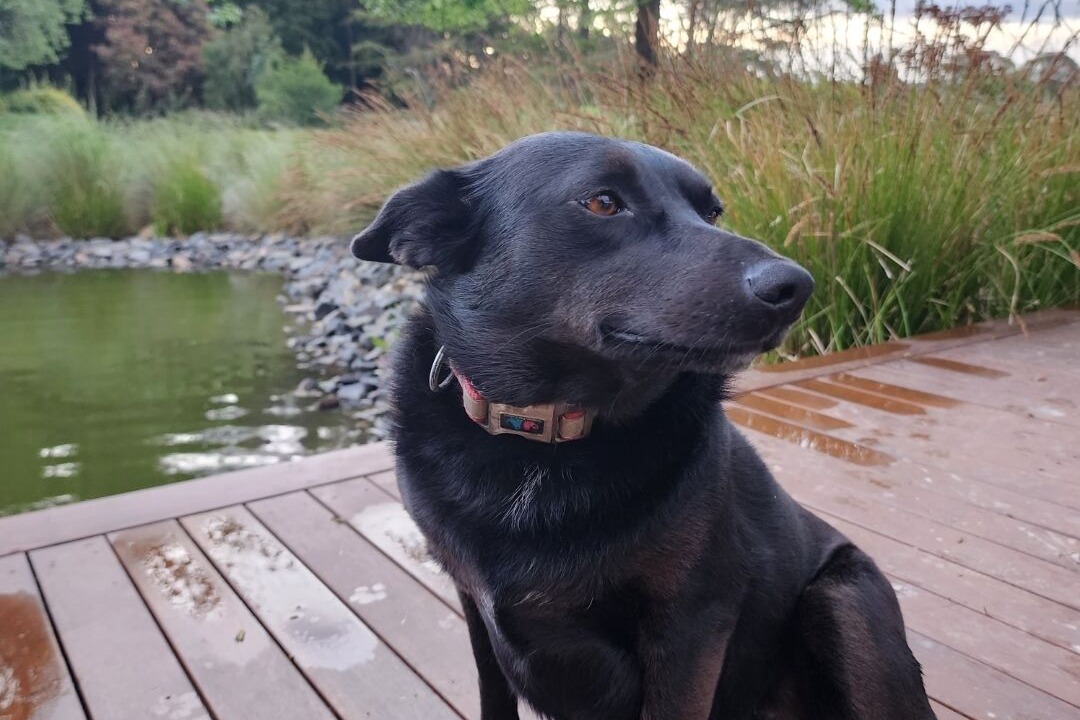 Photo of Outdoor in Alpine