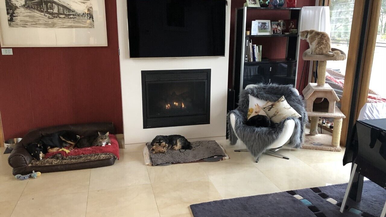 Photo of Livingroom in Alpine