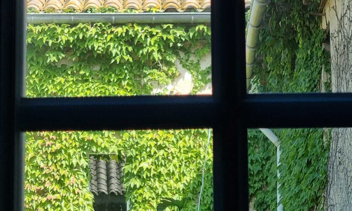 Photo of Others in Canet