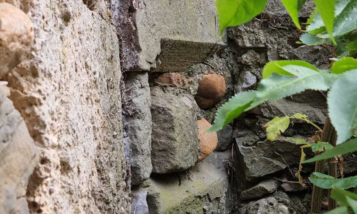 Photo of Outdoor in Canet