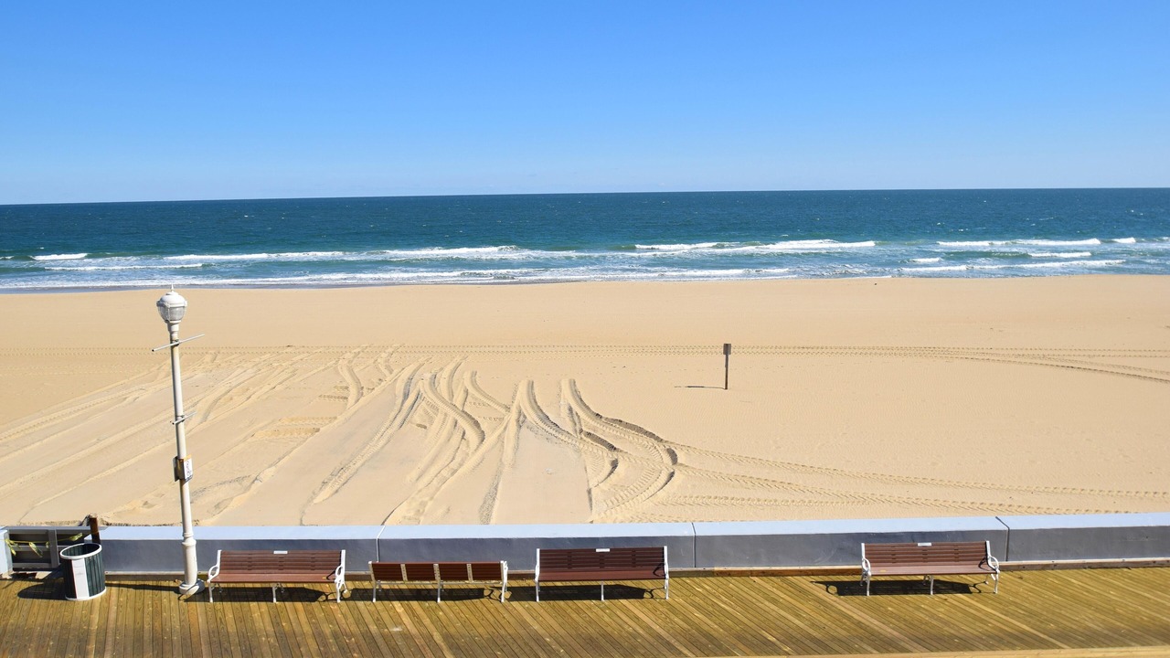 Photo of Others in Ocean City