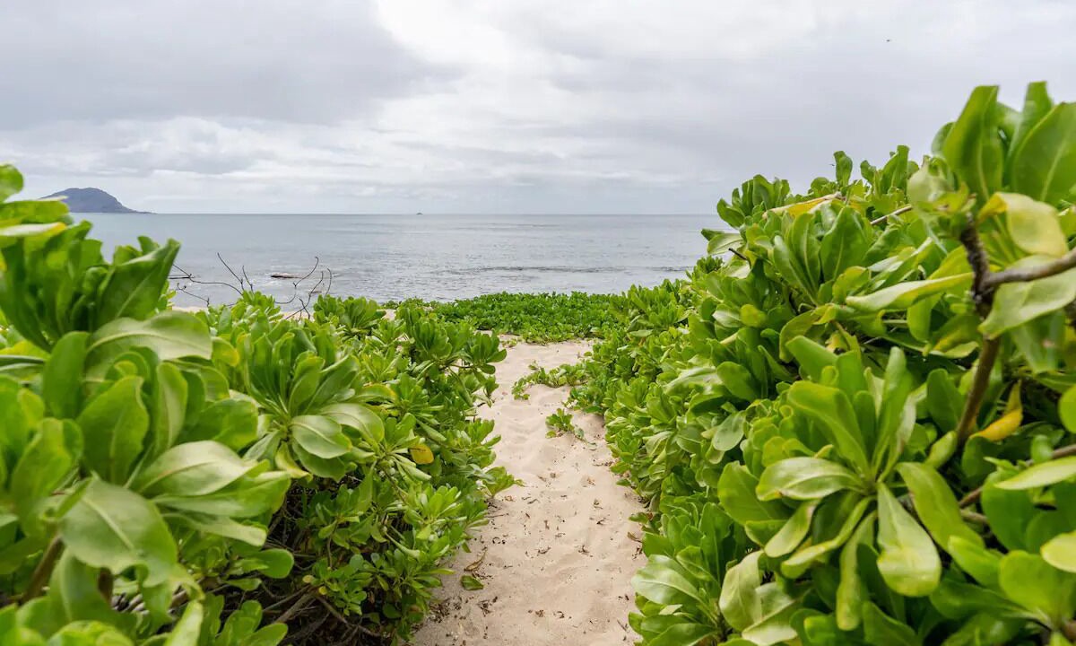 Photo of Others in Makaha
