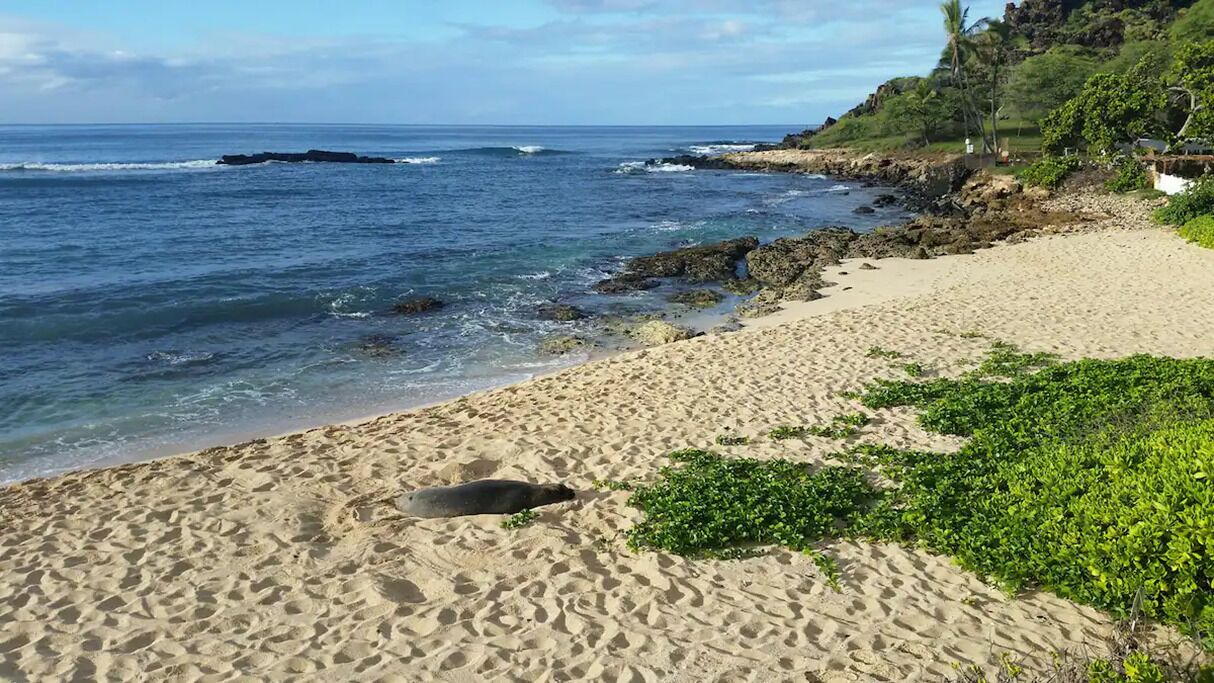 Photo of Others in Makaha