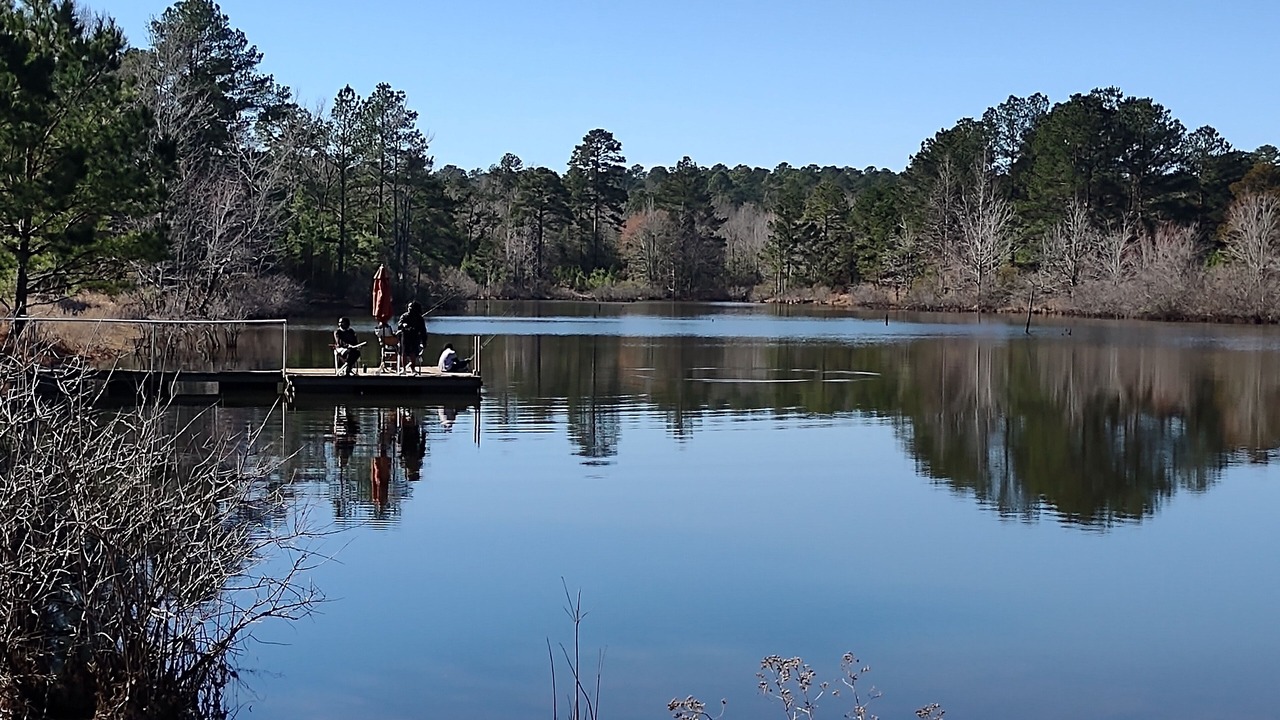 Photo of Outdoor in Gilmer