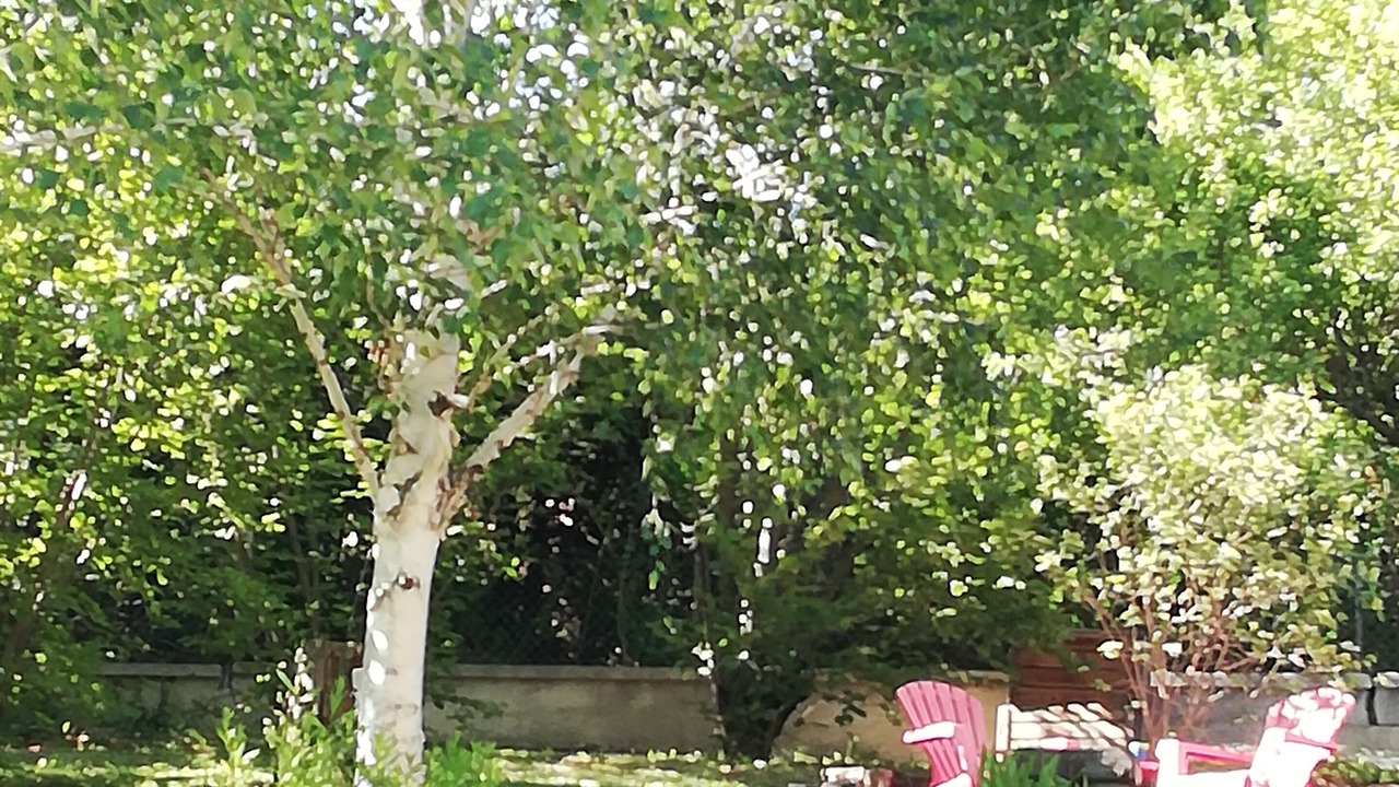 Photo of Outdoor in Barcelonnette