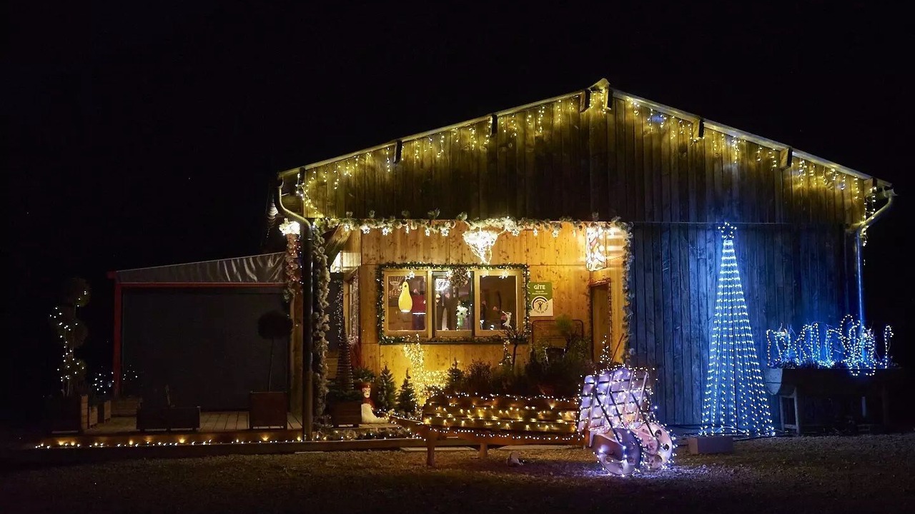 Photo of Outdoor in Curel