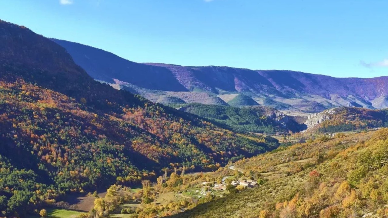 Photo of Outdoor in Curel