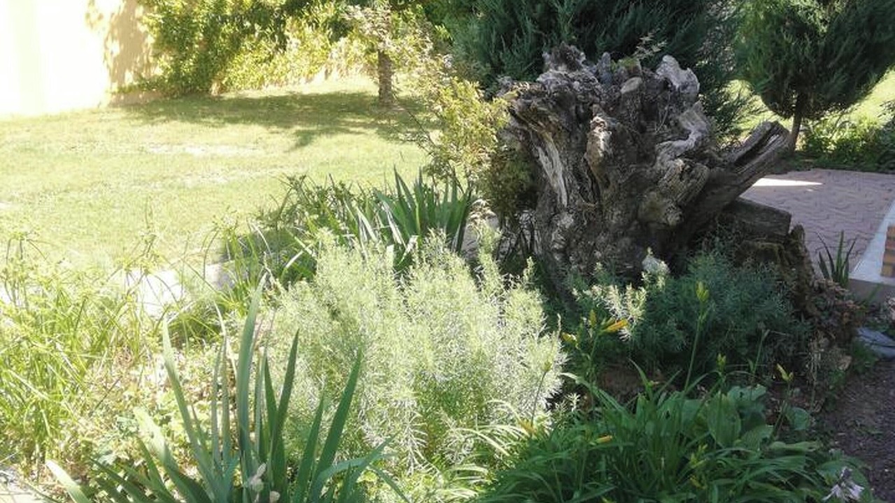 Photo of Outdoor in Saint-Clair-d'Arcey