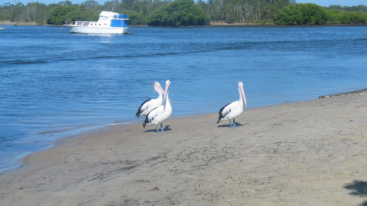 Photo of Others in Tea Gardens