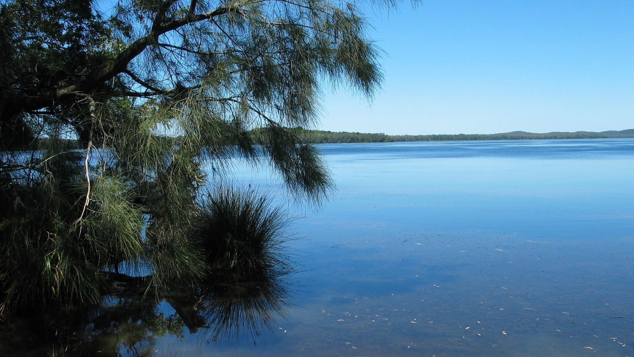 Photo of Others in Tea Gardens