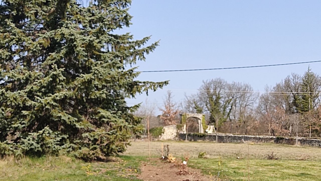 Photo of Outdoor in Saint-Michel-l'Observatoire