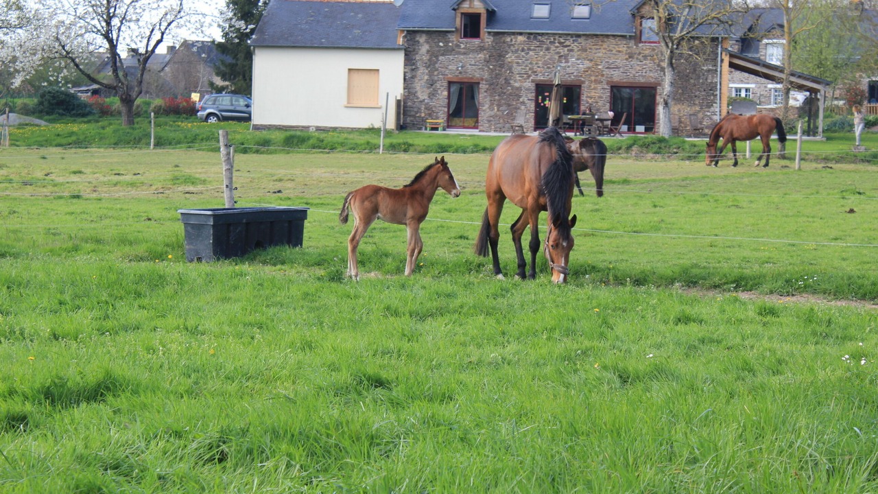 Photo of Outdoor in Campeneac