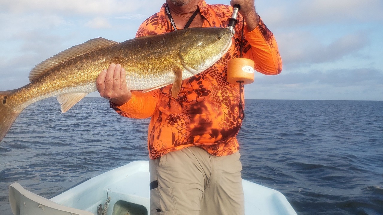Photo of Others in Port O Connor