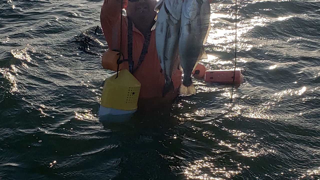 Photo of Others in Port O Connor