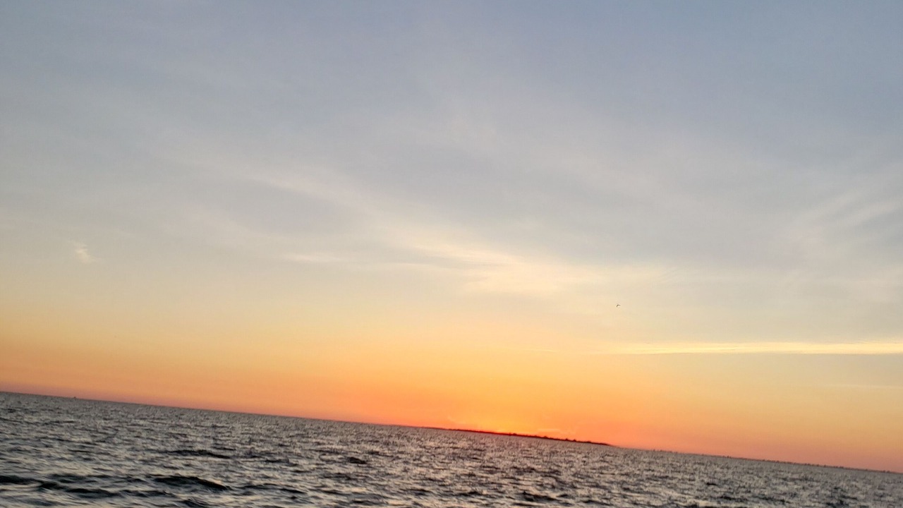 Photo of Others in Port O Connor