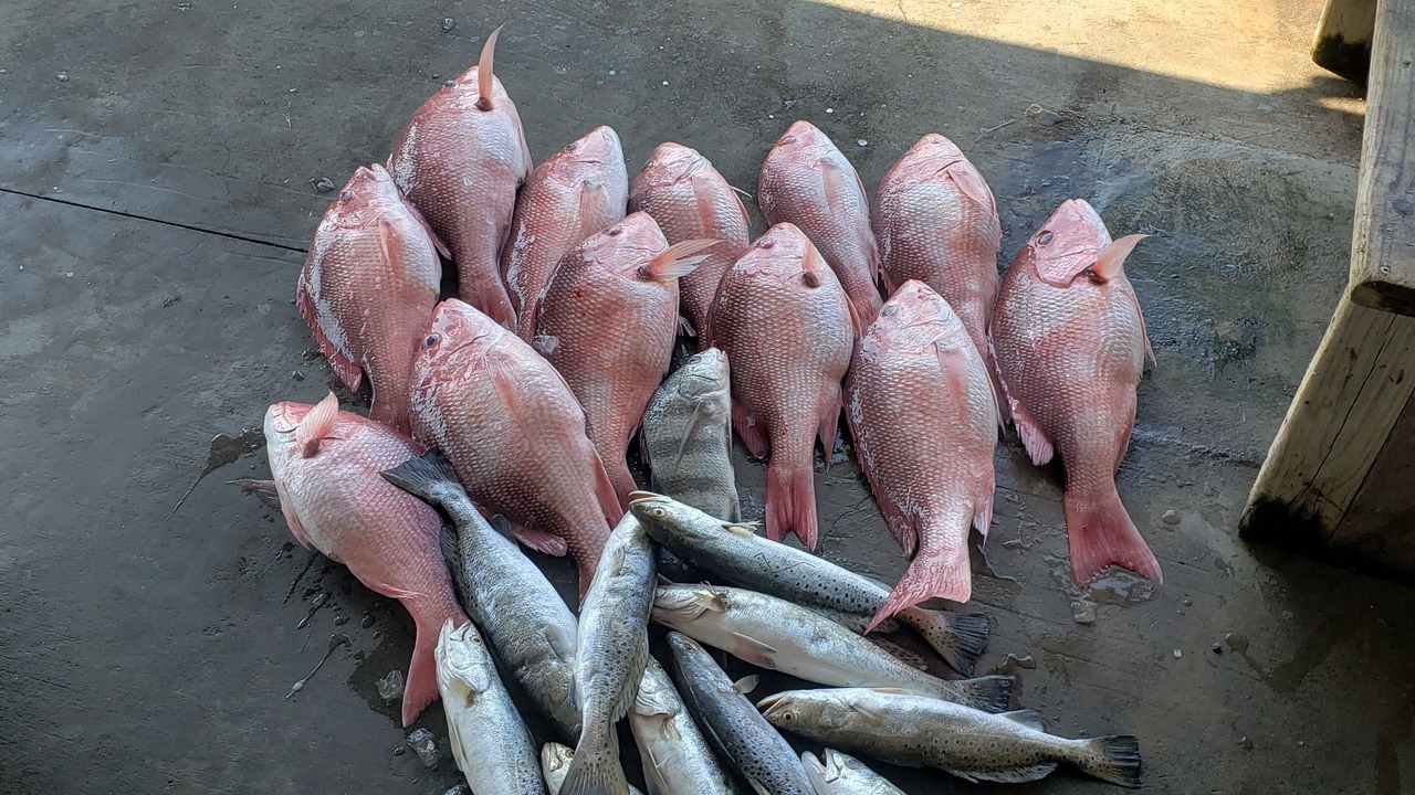 Photo of Others in Port O Connor