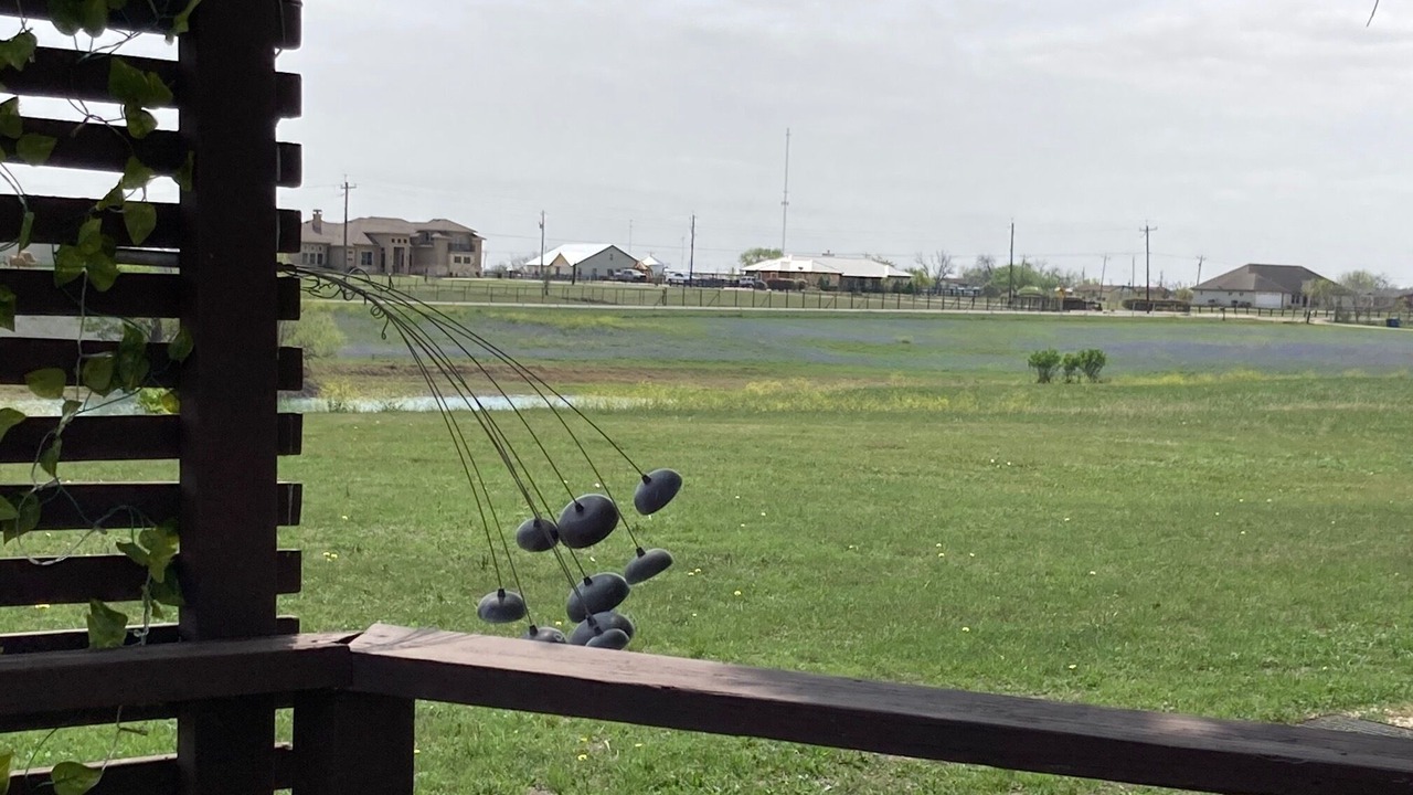 Photo of Outdoor in Guadalupe County