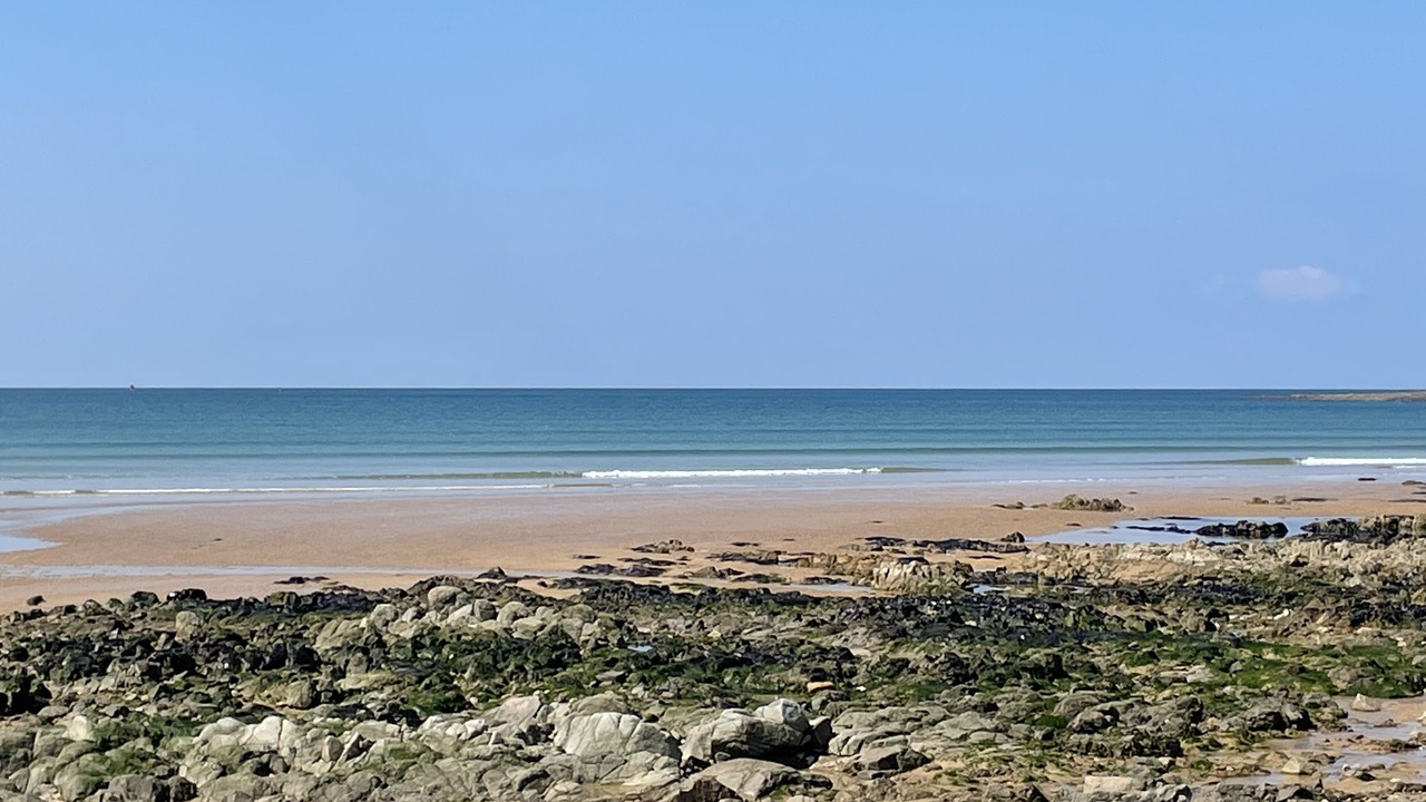 Photo of Others in Bretignolles-sur-Mer