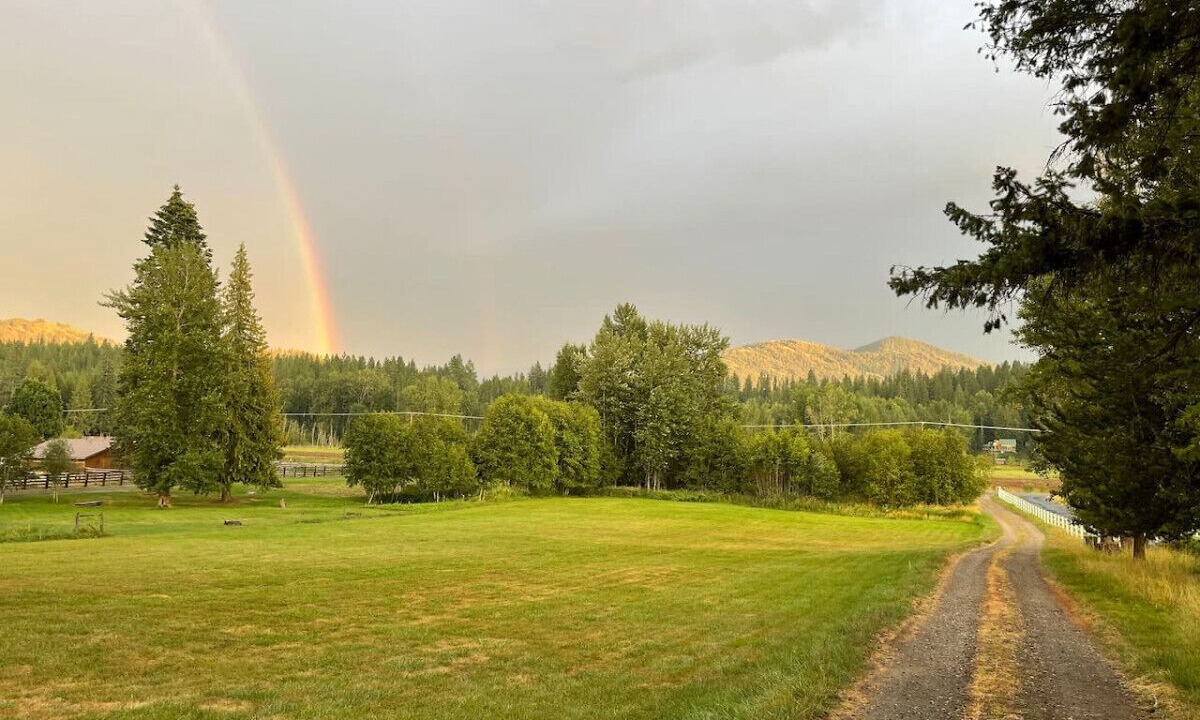 Photo of Others in Sagle