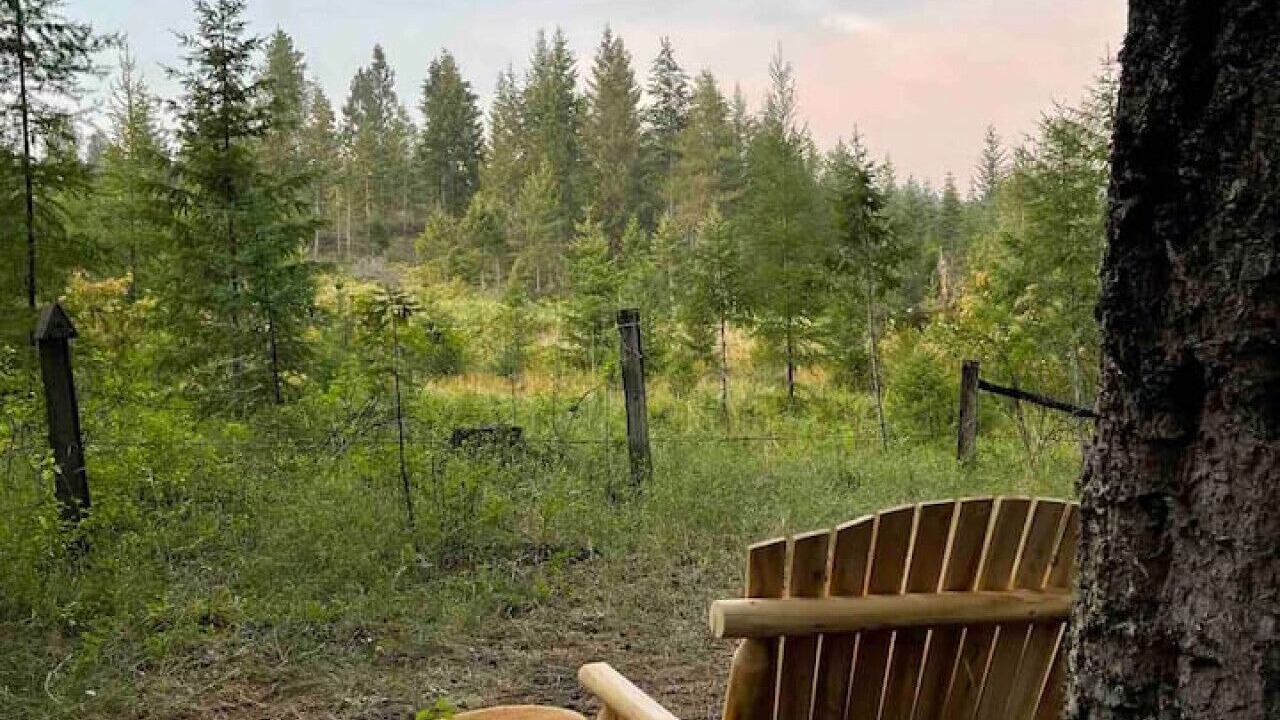 Photo of Others in Sagle