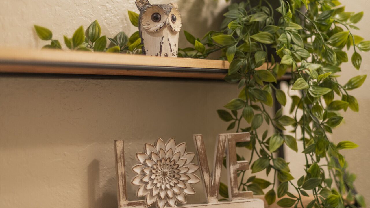 Photo of Others in Sagle