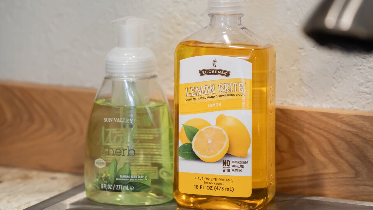 Photo of Others in Sagle