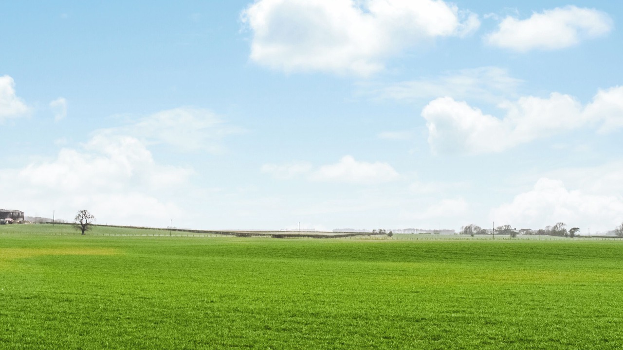 Photo of Others in Saint Michael's on Wyre