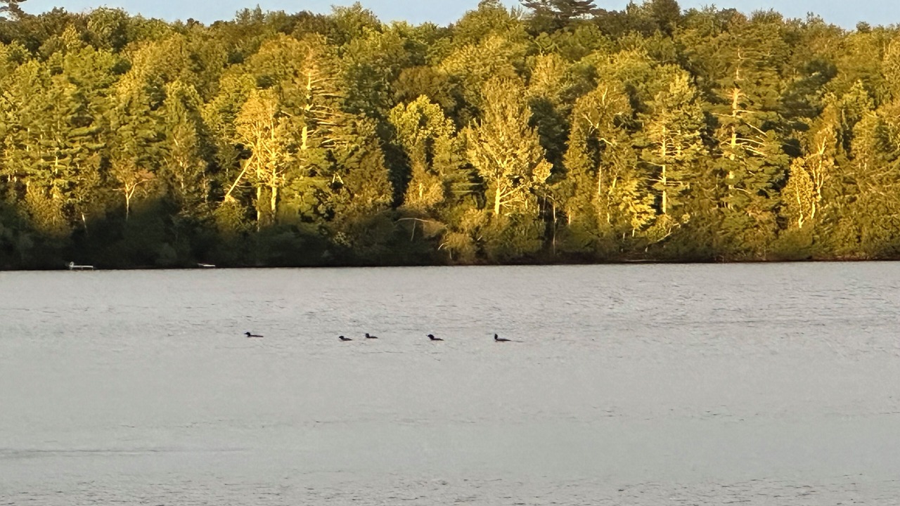 Photo of Outdoor in Fayette